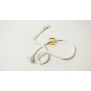 Foto Gemini Ring Brass by Chazpro