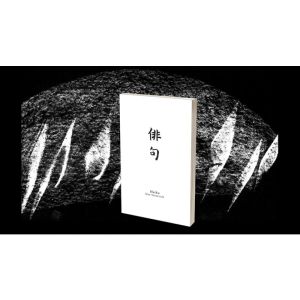 Foto Haiku Book Test 2.0 by Vincent Hedan - Trick