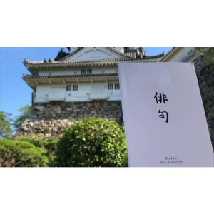 Foto Haiku Book Test 2.0 by Vincent Hedan - Trick