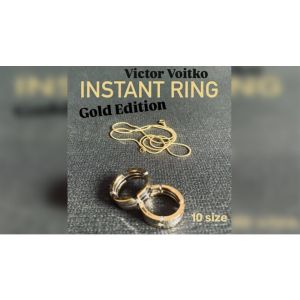 Foto Instant Ring (silver/gold, Size 10) by Viktor Voitko (VT)