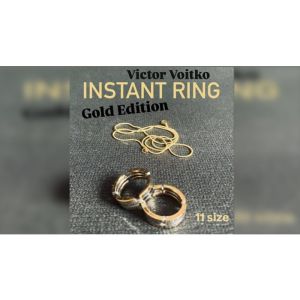 Foto Instant Ring (silver/gold, Size 11) by Viktor Voitko