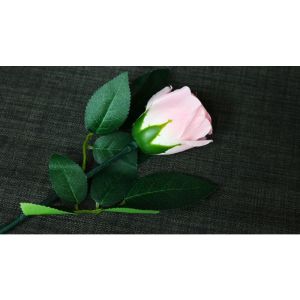Foto Rose Light set RED by JL Magic - Trick (VT)