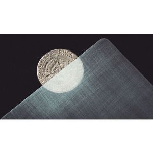 Foto Transparent Matrix (Half Dollar) 2024 by Richard Mo