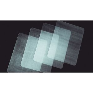 Foto Transparent Matrix (Half Dollar) 2024 by Richard Mo