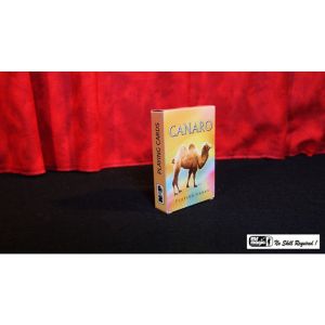 Foto Card Castle with Six Card Repeat by Mr. Magic - Trick