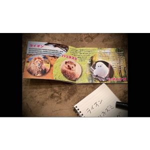 Foto Mentalist s Animal Photo book 2024 by Tenyo Magic - Trick