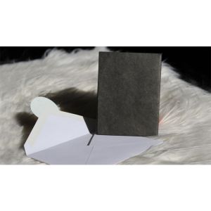 Foto Number 4 Envelope (Gimmicks and Online Instructions) by Blake Vogt - Trick