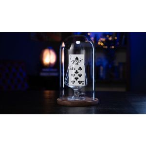 Foto Parlor Rising Card by Murphy's Magic