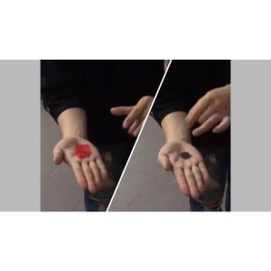 Foto PETAL TO COIN by JL Magic - Trick