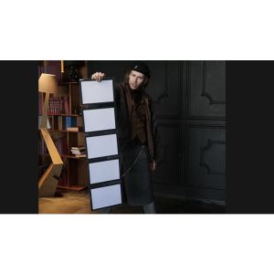Foto Prestige Pro (Stage) by Hide & Sergey Koller