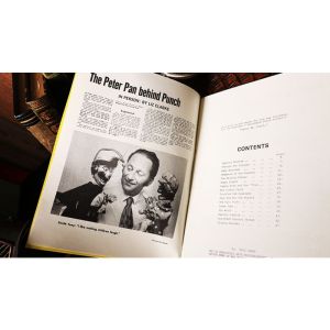 Foto Professional Punch by Tony Green - Book