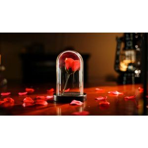 Foto The Quantum Dome by Mai Bro & TCC Magic