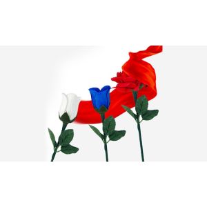 Foto Reborn Rose by JL Magic