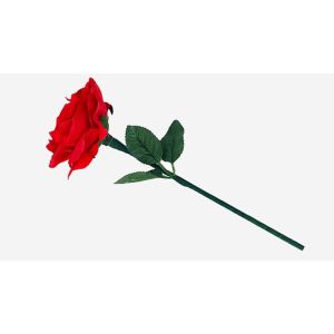 Foto Reborn Rose by JL Magic
