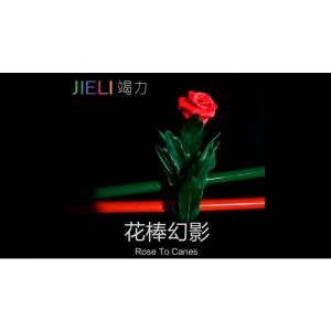 Foto Rose to Canes by Jieli Magic - Trick
