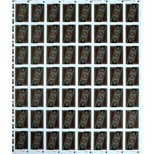 Foto Run Playing Cards: Bankroll Edition (Uncut Sheet)