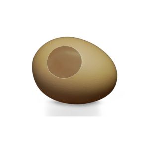 Foto SILK TO EGG by TCC - Trick (VT)
