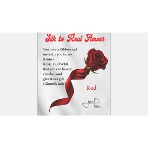 Foto Silk to Real Flower (Red) by Juan Pablo