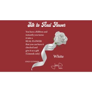 Foto Silk to Real Flower (White) by Juan Pablo