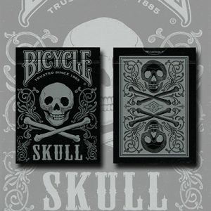 Foto Bicycle Skull Metallic (Silver) USPCC by Gambler's Warehouse