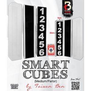Foto Smart Cubes (Medium / Parlor) by Taiwan Ben - Trick (VT)