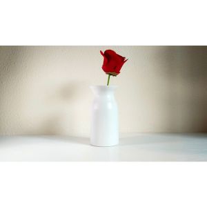Foto Snowflake Vase by Leon and Leno - Trick (VT)