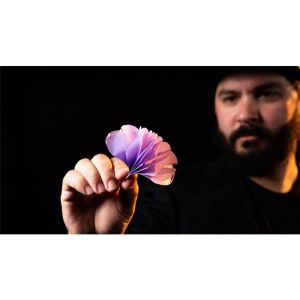 Foto SPRING FLOWERS (2 PK PAPER) by Murphy's Magic