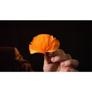 Foto SPRING FLOWERS (2 PK PAPER) by Murphy's Magic