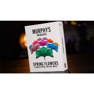 Foto SPRING FLOWERS (2 PK PAPER) by Murphy's Magic