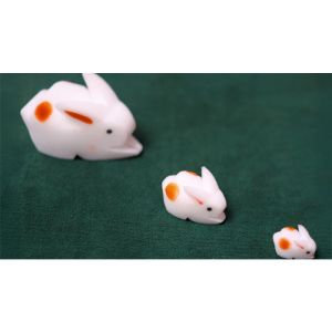 Foto The Bunnies! 3D Rabbits (Parents, Kids & Grandpa)