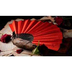 Foto The Butterfly by K.Pen & TCC Magic