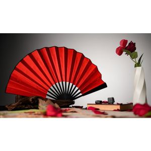 Foto The Butterfly by K.Pen & TCC Magic