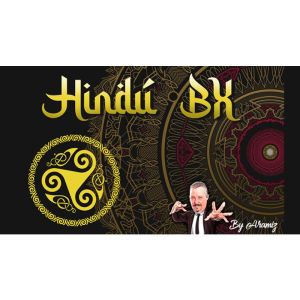 Foto The Hindu BX by Aramiz