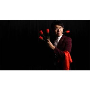 Foto The Rose 2.0 (Red) by Bond Lee & Wenzi Magic - Trick
