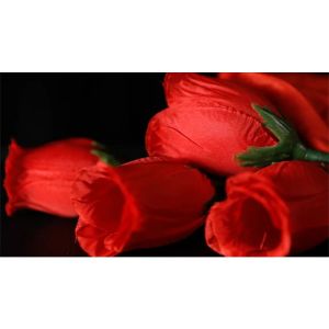 Foto The Rose 2.0 (Red) by Bond Lee & Wenzi Magic - Trick