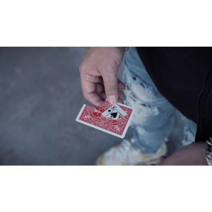 Foto Translation (DVD and Gimmick) by SansMinds Creative Lab - DVD