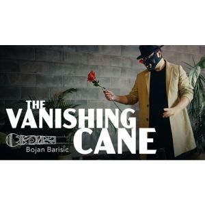 Foto Vanishing Cane (Stage) by Bojan Barisic and Stage Elegance