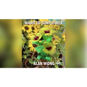 Foto WAND TO SUNFLOWER LARGE by Alan Wong  - Trick (VT)