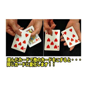 Foto Wild Shock by Tejinaya - Trick (colors may vary) (VT)