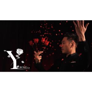 Foto Y-Rose 2.0 by Mr. Y & Bond Lee - Trick