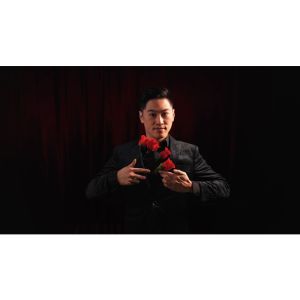 Foto Y-Rose 2.0 by Mr. Y & Bond Lee - Trick