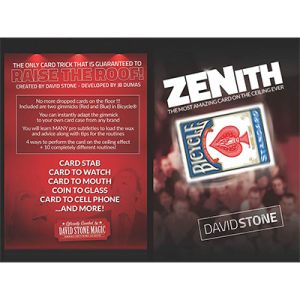 Foto Zenith (online instructions) by David Stone