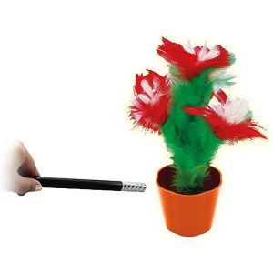 Foto Magic Appearing Flowers