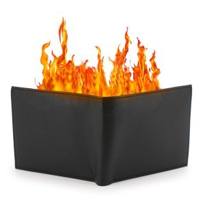 Foto Portafoglio in Fiamme - Professional