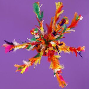 Foto Fiorin fiorello - Ultra