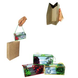 Foto Flowers from Empty Bag