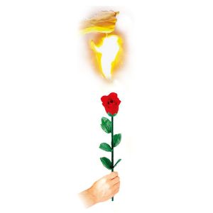 Foto Instant Rose
