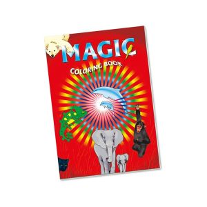 Foto Il libro incantato - Piccolo